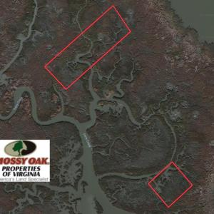 Photo of SOLD!  1.6 Acres of Duck Hunting Land For Sale in New Kent County VA!