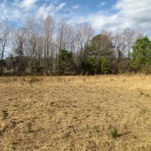 Photo of SOLD!  4.2 Acres of Residential Land For Sale in Surry County VA!