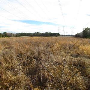 Photo of SOLD!  4.2 Acres of Residential Land For Sale in Surry County VA!