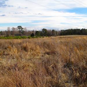 Photo of SOLD!  4.2 Acres of Residential Land For Sale in Surry County VA!