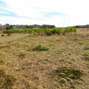 Photo of SOLD!  4.2 Acres of Residential Land For Sale in Surry County VA!