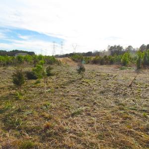 Photo of SOLD!  4.2 Acres of Residential Land For Sale in Surry County VA!
