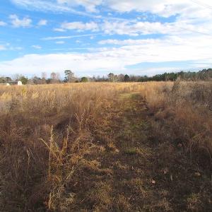Photo of SOLD!  4.2 Acres of Residential Land For Sale in Surry County VA!
