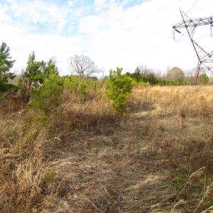 Photo of SOLD!  4.2 Acres of Residential Land For Sale in Surry County VA!