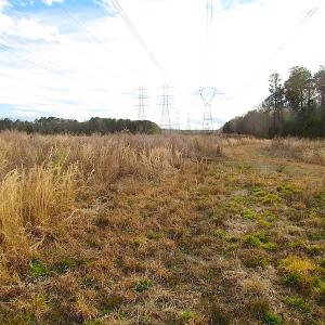Photo of SOLD!  4.2 Acres of Residential Land For Sale in Surry County VA!