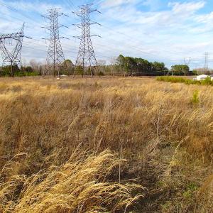 Photo of SOLD!  4.2 Acres of Residential Land For Sale in Surry County VA!