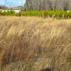 Photo of SOLD!  4.2 Acres of Residential Land For Sale in Surry County VA!