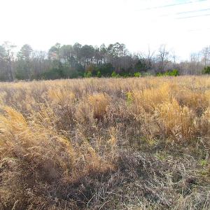 Photo of SOLD!  4.2 Acres of Residential Land For Sale in Surry County VA!