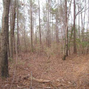 Photo of UNDER CONTRACT!  10 Acres of Recreational and Investment Land For Sale in Suffolk County VA!