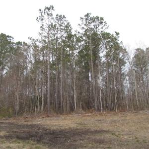Photo of UNDER CONTRACT!  10 Acres of Recreational and Investment Land For Sale in Suffolk County VA!