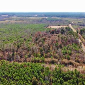 Photo of UNDER CONTRACT!  10.03 Acres of Hunting and Timberland For Sale in Warren County NC!