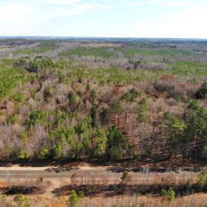 Photo of UNDER CONTRACT!  10.03 Acres of Hunting and Timberland For Sale in Warren County NC!