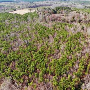 Photo of UNDER CONTRACT!  10.03 Acres of Hunting and Timberland For Sale in Warren County NC!