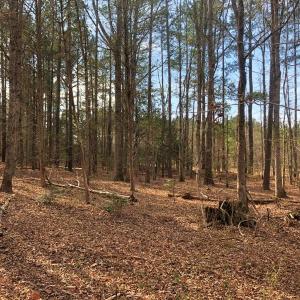 Photo of UNDER CONTRACT!  10.03 Acres of Hunting and Timberland For Sale in Warren County NC!