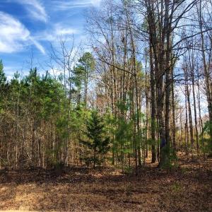 Photo of UNDER CONTRACT!  10.03 Acres of Hunting and Timberland For Sale in Warren County NC!