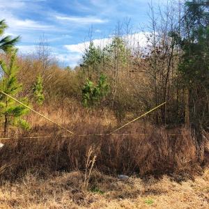Photo of UNDER CONTRACT!  10.03 Acres of Hunting and Timberland For Sale in Warren County NC!