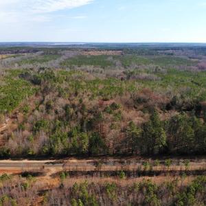 Photo of UNDER CONTRACT!  10.03 Acres of Hunting and Timberland For Sale in Warren County NC!