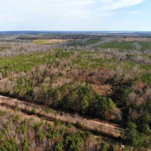 Photo of UNDER CONTRACT!  10.03 Acres of Hunting and Timberland For Sale in Warren County NC!