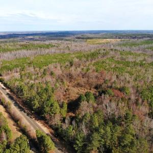 Photo of UNDER CONTRACT!  10.03 Acres of Hunting and Timberland For Sale in Warren County NC!