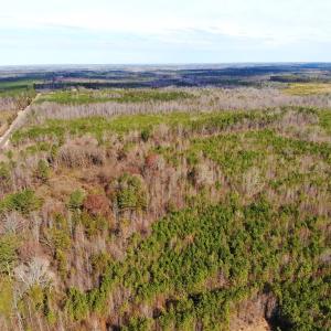 Photo of UNDER CONTRACT!  10.03 Acres of Hunting and Timberland For Sale in Warren County NC!