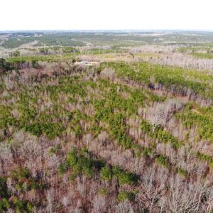 Photo of UNDER CONTRACT!  10.03 Acres of Hunting and Timberland For Sale in Warren County NC!