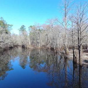 Photo of SOLD!!  290.75 Acres of Creek Front Hunting and Timber Land For Sale in Pender County NC!