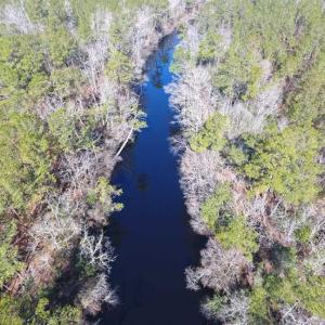 Photo of SOLD!!  290.75 Acres of Creek Front Hunting and Timber Land For Sale in Pender County NC!