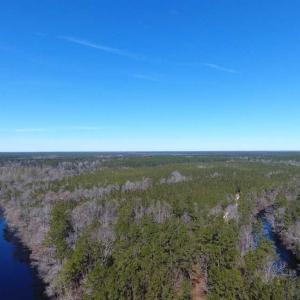 Photo of SOLD!!  290.75 Acres of Creek Front Hunting and Timber Land For Sale in Pender County NC!