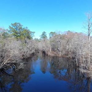 Photo of SOLD!!  290.75 Acres of Creek Front Hunting and Timber Land For Sale in Pender County NC!