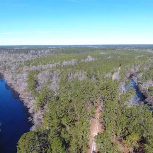 Photo of SOLD!!  290.75 Acres of Creek Front Hunting and Timber Land For Sale in Pender County NC!