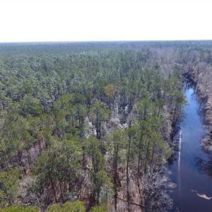 Photo of SOLD!!  290.75 Acres of Creek Front Hunting and Timber Land For Sale in Pender County NC!