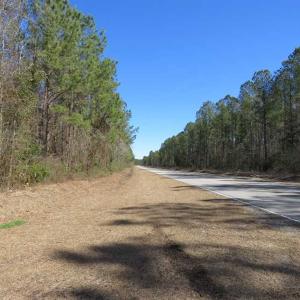 Photo of SOLD!!  290.75 Acres of Creek Front Hunting and Timber Land For Sale in Pender County NC!