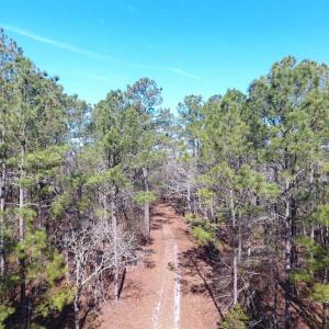 Photo of SOLD!!  290.75 Acres of Creek Front Hunting and Timber Land For Sale in Pender County NC!