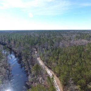 Photo of SOLD!!  290.75 Acres of Creek Front Hunting and Timber Land For Sale in Pender County NC!