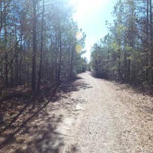 Photo of SOLD!!  290.75 Acres of Creek Front Hunting and Timber Land For Sale in Pender County NC!
