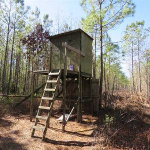 Photo of SOLD!!  290.75 Acres of Creek Front Hunting and Timber Land For Sale in Pender County NC!