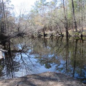 Photo of SOLD!!  290.75 Acres of Creek Front Hunting and Timber Land For Sale in Pender County NC!