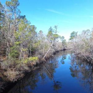 Photo of SOLD!!  290.75 Acres of Creek Front Hunting and Timber Land For Sale in Pender County NC!