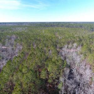 Photo of SOLD!!  290.75 Acres of Creek Front Hunting and Timber Land For Sale in Pender County NC!