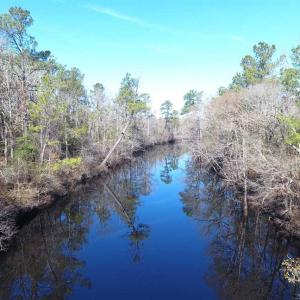 Photo of SOLD!!  290.75 Acres of Creek Front Hunting and Timber Land For Sale in Pender County NC!