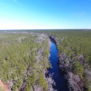 Photo of SOLD!!  290.75 Acres of Creek Front Hunting and Timber Land For Sale in Pender County NC!