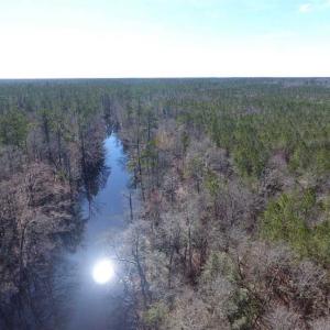 Photo of SOLD!!  290.75 Acres of Creek Front Hunting and Timber Land For Sale in Pender County NC!