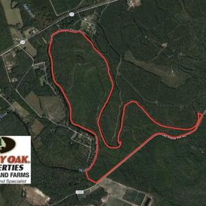 Photo of SOLD!!  290.75 Acres of Creek Front Hunting and Timber Land For Sale in Pender County NC!