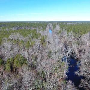 Photo of SOLD!!  290.75 Acres of Creek Front Hunting and Timber Land For Sale in Pender County NC!