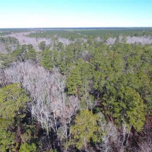 Photo of SOLD!!  290.75 Acres of Creek Front Hunting and Timber Land For Sale in Pender County NC!