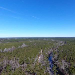 Photo of SOLD!!  290.75 Acres of Creek Front Hunting and Timber Land For Sale in Pender County NC!