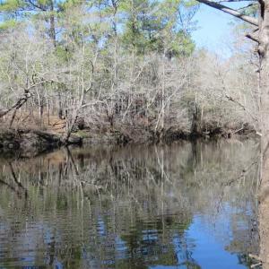 Photo of SOLD!!  290.75 Acres of Creek Front Hunting and Timber Land For Sale in Pender County NC!