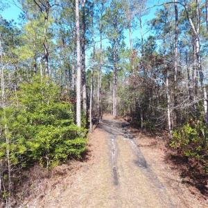 Photo of SOLD!!  290.75 Acres of Creek Front Hunting and Timber Land For Sale in Pender County NC!
