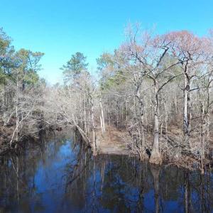 Photo of SOLD!!  290.75 Acres of Creek Front Hunting and Timber Land For Sale in Pender County NC!
