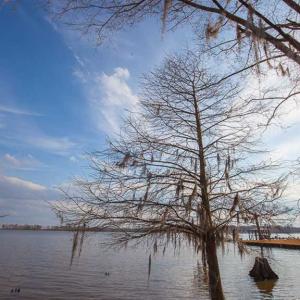 Photo of SOLD!!  3.8 Acres of Waterfront Land For Sale in Perquimans County NC!